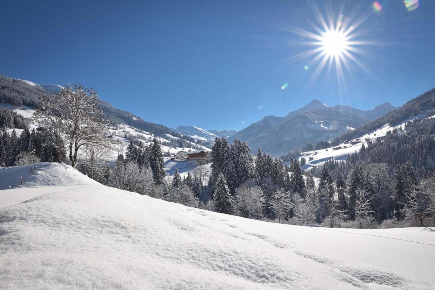 Alpapart Schneider Alpbach Exterior foto